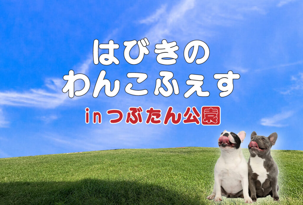 羽曳野市、はびきのわんこふぇすイメージ画像。
